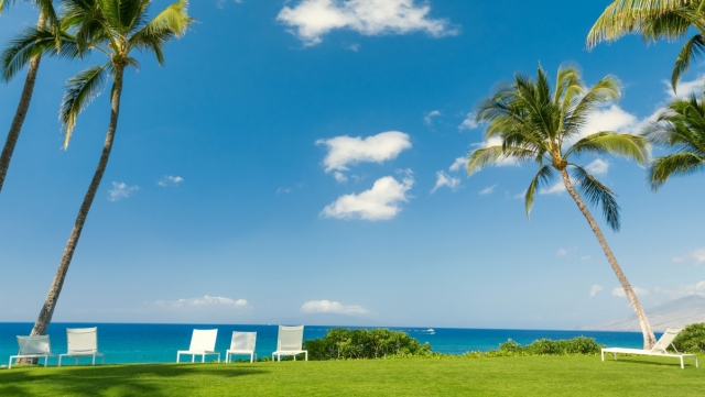 星空公司：摆脱拘束，释放天性！儿童滑梯高度勾起孩子们无尽的探险欲望！