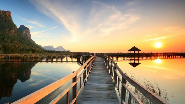 星空公司:引器材健身用