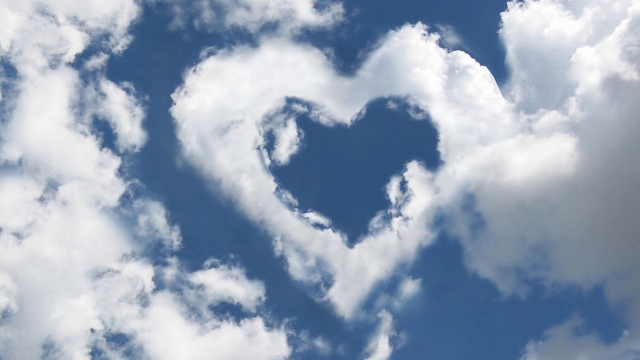 星空体育：武定门乒乓球台